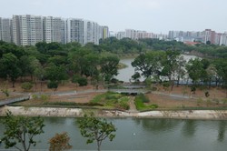 The Rivervale (D19), Condominium #209594811